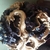 Profile picture small