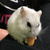 Profile picture small