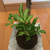 Profile picture small