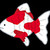 Profile picture small