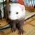 Profile picture small