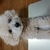 Profile picture small