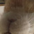 Profile picture small