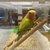 Profile picture small