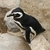 Profile picture small