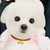 Profile picture small