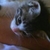 Profile picture small
