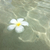Profile picture small