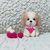 Profile picture small