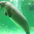 Profile picture small