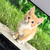 Profile picture small