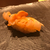 Profile picture small