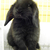 Profile picture small