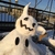 Profile picture small