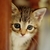Profile picture small
