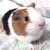 Profile picture small