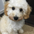 Profile picture small