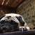 Profile picture small