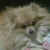 Profile picture small