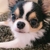 Profile picture small