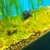 Profile picture small
