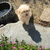 Profile picture small