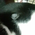 Profile picture small