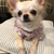 Profile picture small