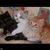 Profile picture small