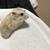 Profile picture small