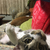 Profile picture small
