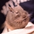 Profile picture small