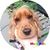 Profile picture small