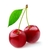 Profile picture small