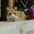 Profile picture small