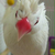 Profile picture small
