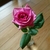 Profile picture small