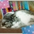 Profile picture small