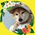 Profile picture small