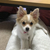 Profile picture small
