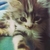 Profile picture small