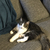 Profile picture small
