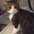 Profile picture small