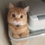 Profile picture small
