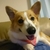 Profile picture small
