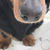 Profile picture small