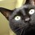 Profile picture small
