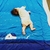 Profile picture small