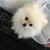 Profile picture small