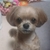 Profile picture small